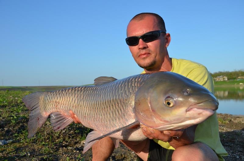 Desfasurare CN APCR Arrow Sarulesti 27 aprilie - 2 mai 2013 - dsc9163.JPG